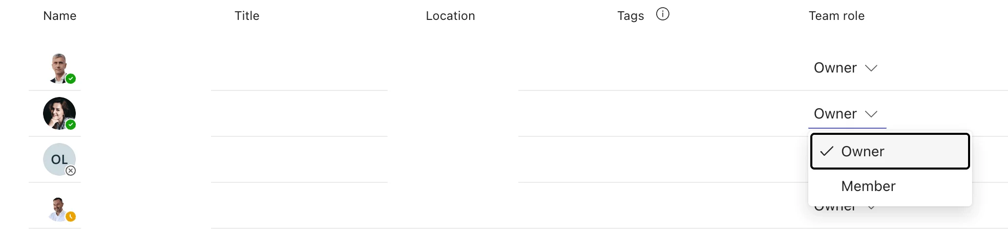 Changing a member’s role to Owner in Manage team Members tab